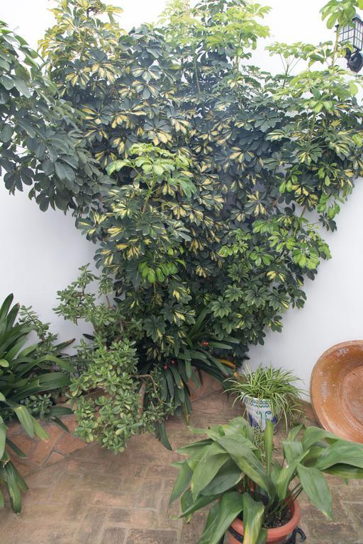 Casa Rural Migolla โอซูนา ภายนอก รูปภาพ