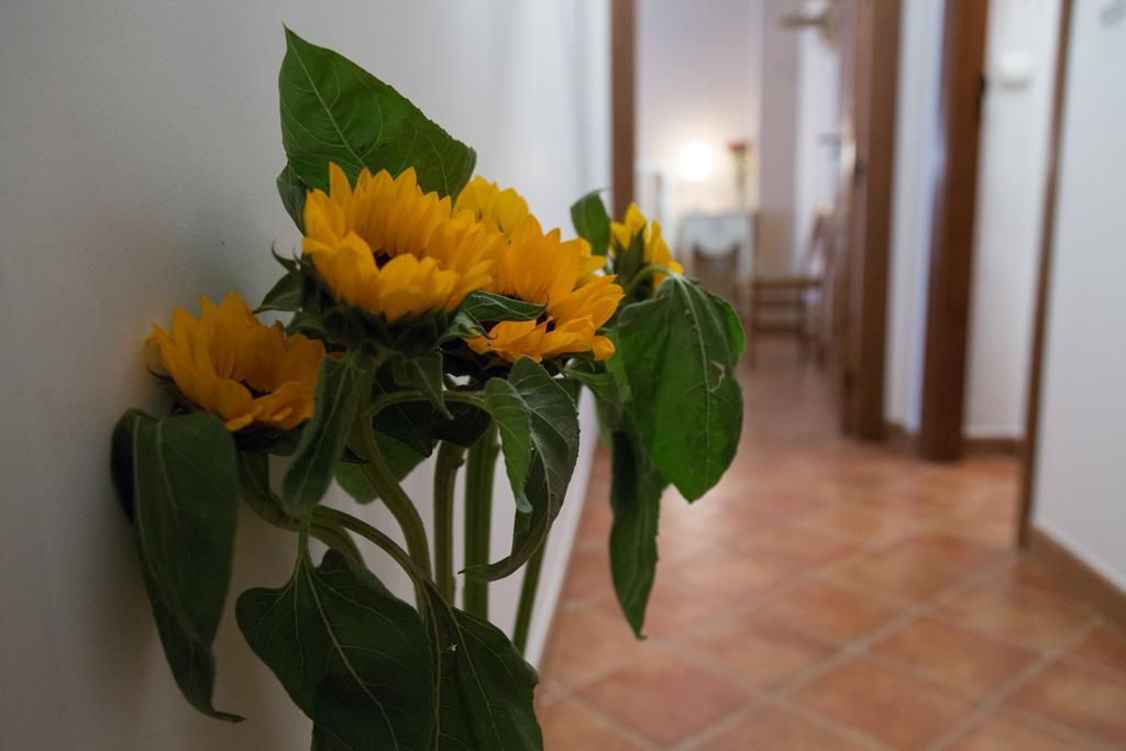 Casa Rural Migolla โอซูนา ภายนอก รูปภาพ